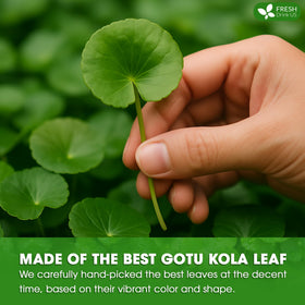 FreshDrinkUS Gotu Kola dry leaves view highlighting premium quality.