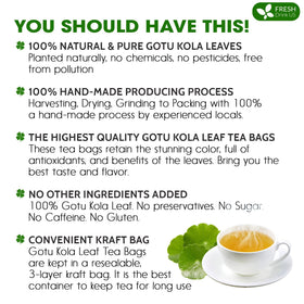 FreshDrinkUS Gotu Kola leaf harvest highlighting farm-fresh, responsibly sourced leaves.