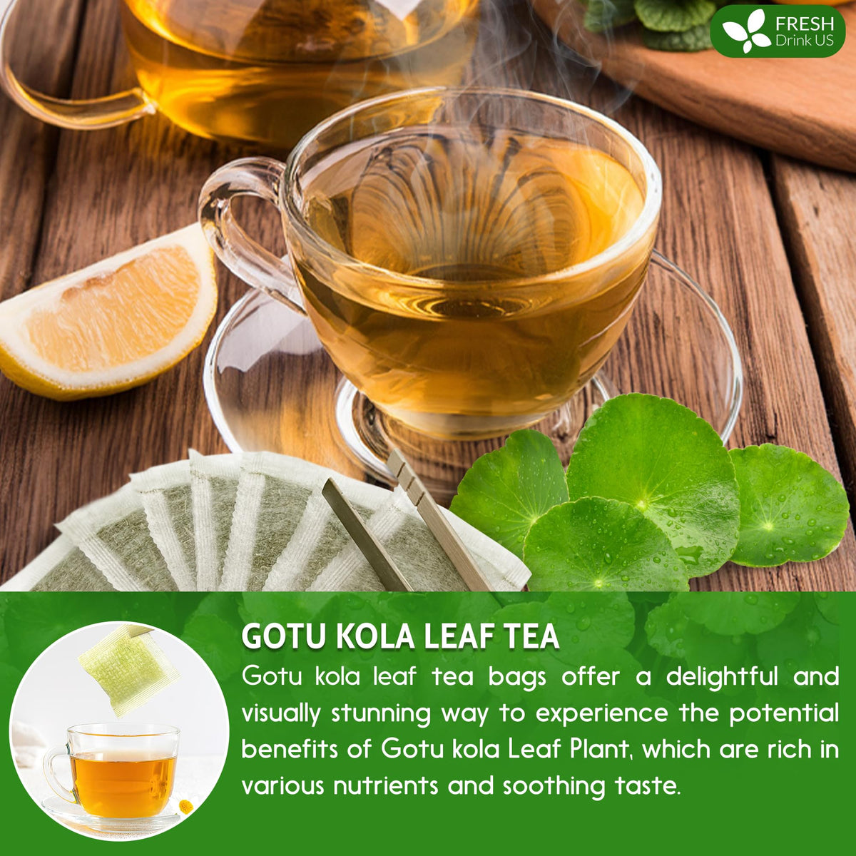 FreshDrinkUS Gotu Kola sustainable farming image highlighting ethical sourcing.