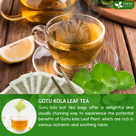 FreshDrinkUS Gotu Kola sustainable farming image highlighting ethical sourcing.