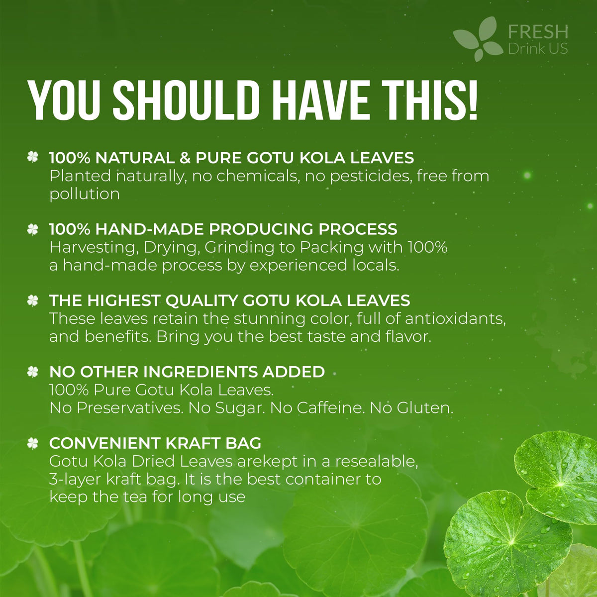 FreshDrinkUS gotu kola tea brew cup shows earthy aroma for hot or iced use.
