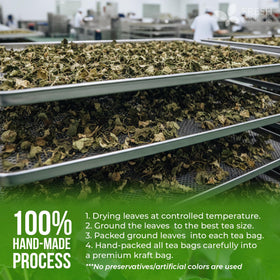 FreshDrinkUS gotu kola leaves on kitchen surface underscore vegan-friendly option.