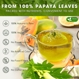 FreshDrinkUS hand-made tea bags process with premium papaya leaves