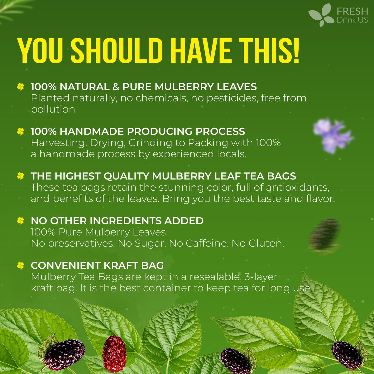 FreshDrinkUS hand-picked leaves signifying sustainable farming practices and careful harvest