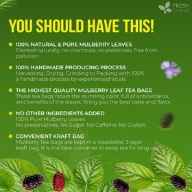 FreshDrinkUS hand-picked leaves signifying sustainable farming practices and careful harvest