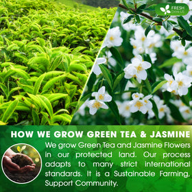 FreshDrinkUS handmade-green-tea-leaves captures craft and quality for a satisfying cup.