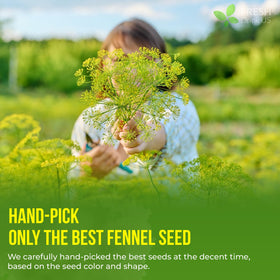 FreshDrinkUS handmade process label on fennel tea bags conveys care