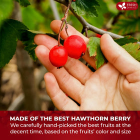 FreshDrinkUS hawthorn berries for baking adds tart, fruity notes.