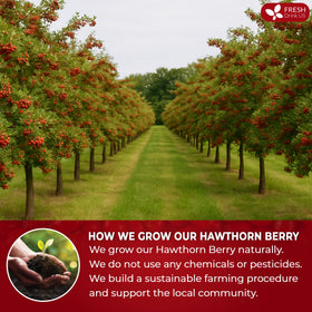 FreshDrinkUS hawthorn berries smoothie bowl topping for vibrant, nutrient-rich bowls.