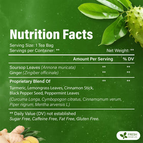 FreshDrinkUS herbal ingredients closeup showcases soursop, ginger, turmeric for flavorful moments.
