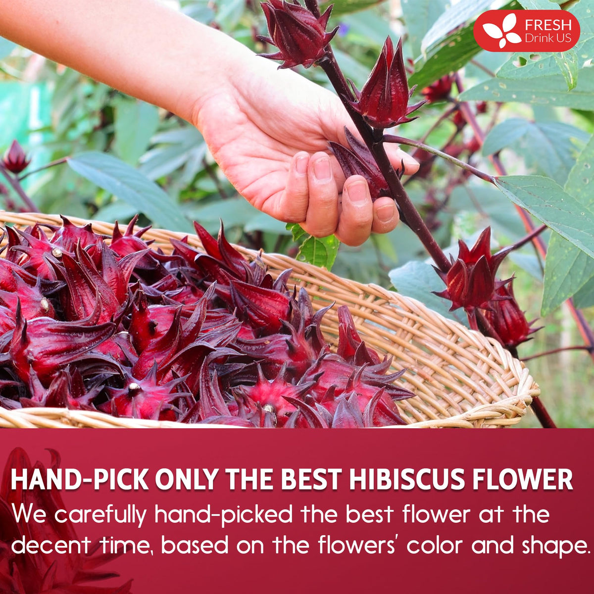 FreshDrinkUS hibiscus cocktail mix adds color and a delicate floral aroma.