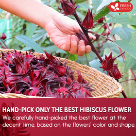 FreshDrinkUS hibiscus cocktail mix adds color and a delicate floral aroma.