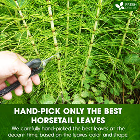 FreshDrinkUS horsetail powder in a DIY blend for herbal projects.