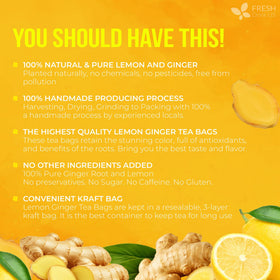 FreshDrinkUS lemon-ginger tea bag packaging highlighting eco-friendly materials