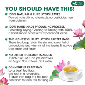 FRESHDRINKUS lotus tea in cup demonstrates convenient, caffeine-free relaxation.