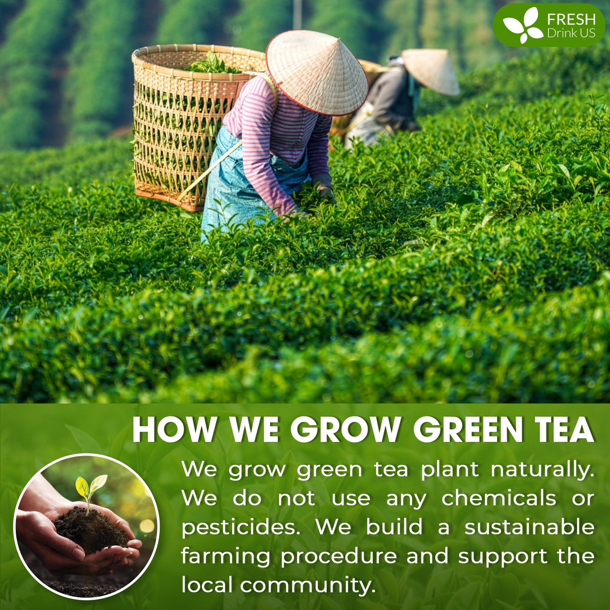 FreshDrinkUS Matcha Latte Powder used in baking for vibrant green desserts.