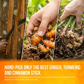 FreshDrinkUS blend highlights turmeric, ginger, cinnamon for a bright, cozy moment.