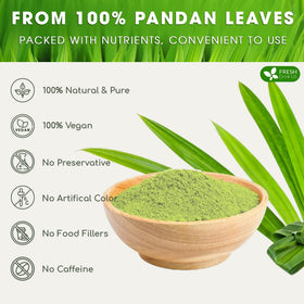 Spoon of FRESHDRINKUS Pandan Leaf Powder ready to flavor desserts.