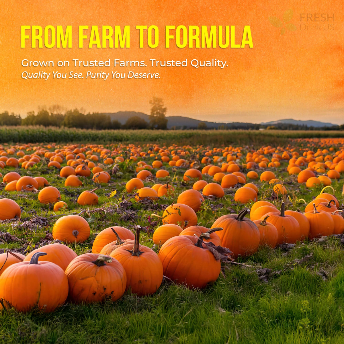 FreshDrinkUS pumpkin seed oil gummies bottle indicating 4000mg per serving.