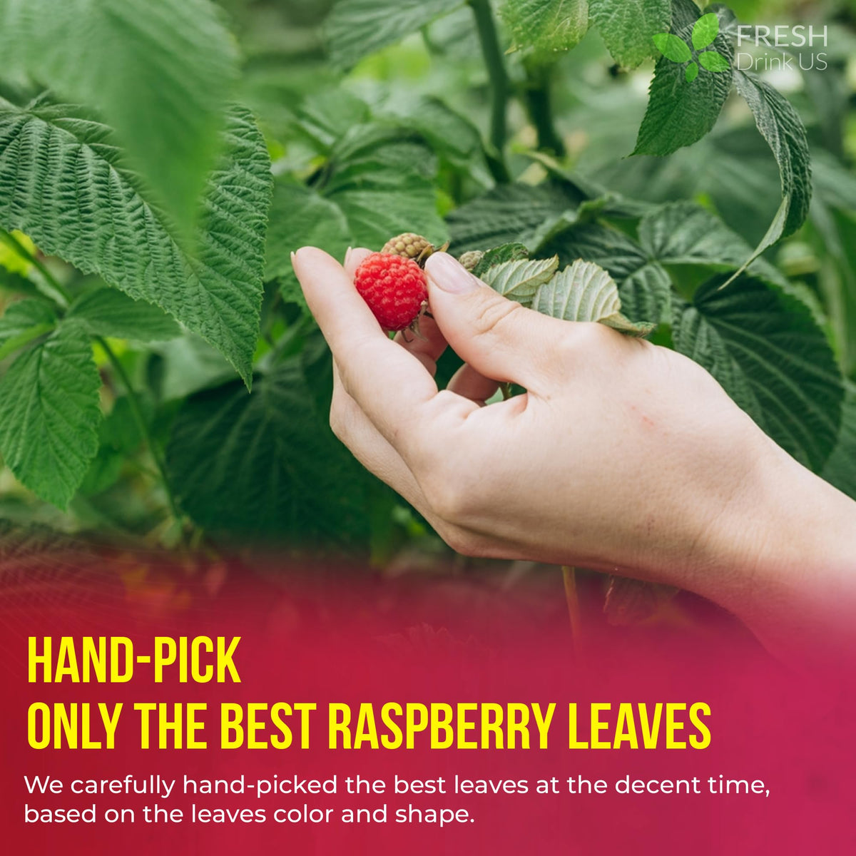 FreshDrinkUS sustainable farming seal signals environmentally responsible sourcing you can trust.