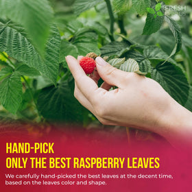 FreshDrinkUS sustainable farming seal signals environmentally responsible sourcing you can trust.