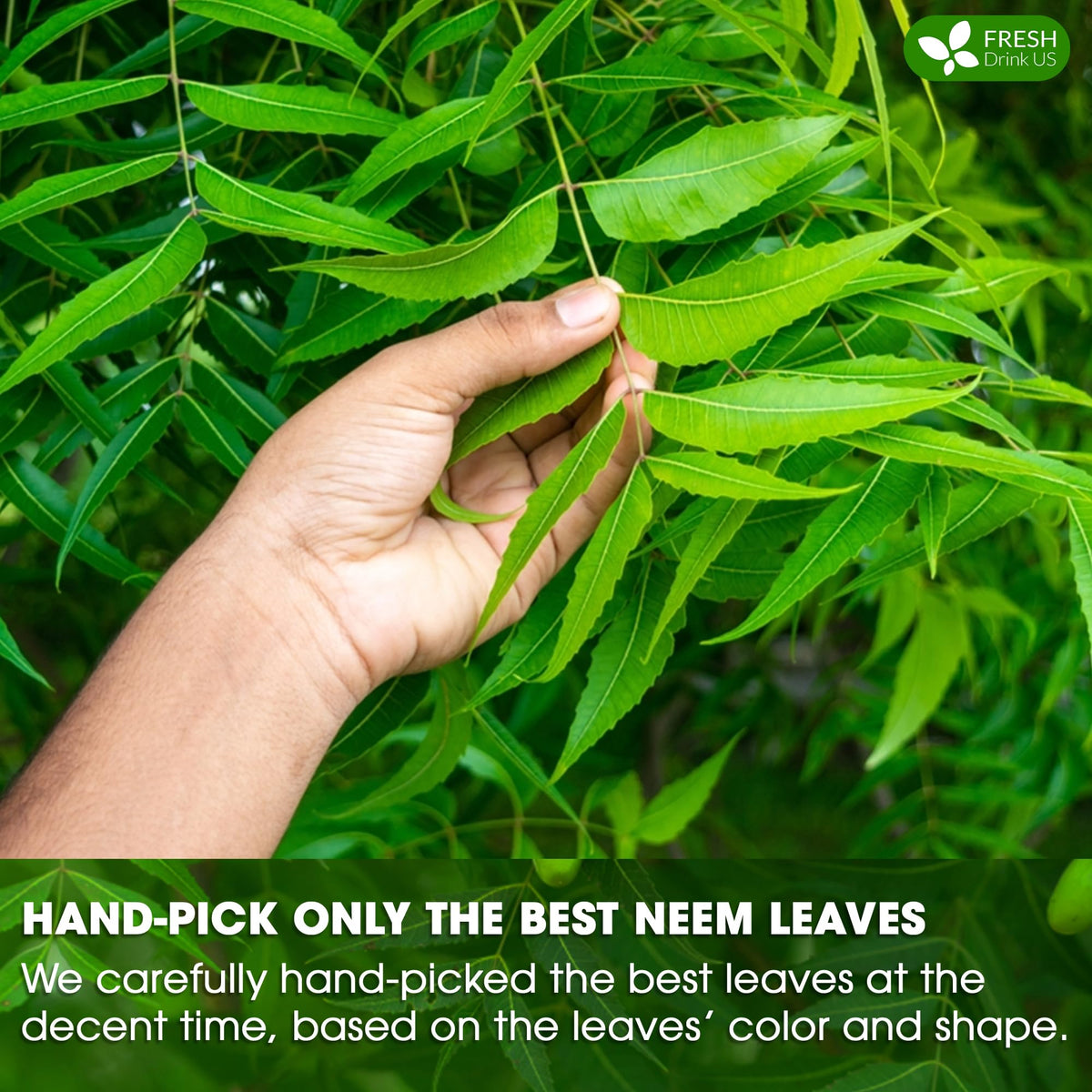Re-sealable FreshDrinkUS neem tea bag keeps freshness and flavor.