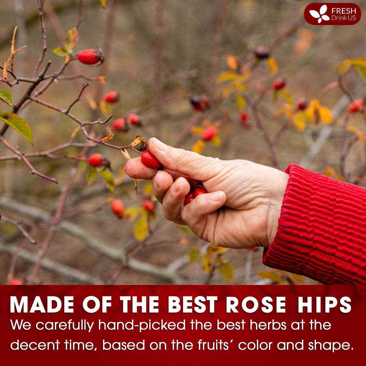 FreshDrinkUS rosehip dried fruits selection highlights pure content in every bag
