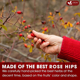 FreshDrinkUS rosehip dried fruits selection highlights pure content in every bag