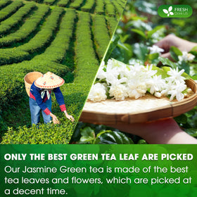 FreshDrinkUS scented-tea-leaves-with-jasmine reveals authentic fragrance for daytime rituals.