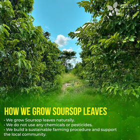 FreshDrinkUS small-farmers harvesting supports rural livelihoods and sustainable farming.