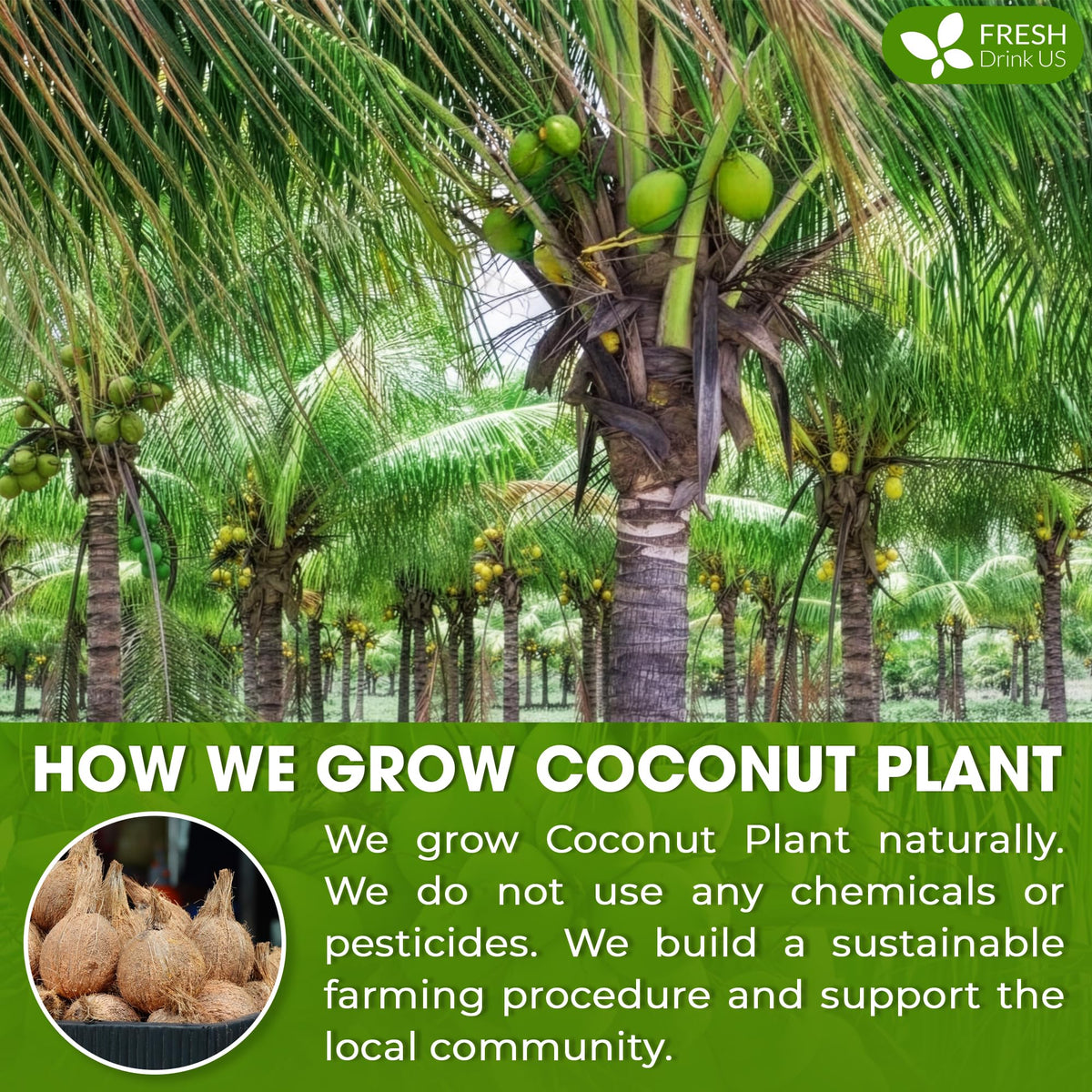 FreshDrinkUS smoothies and desserts boosted by coconut milk powder texture.