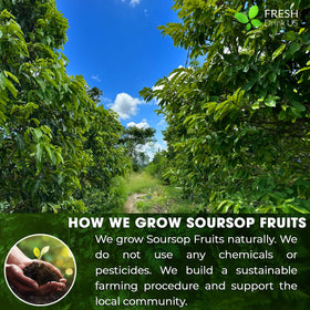 FreshDrinkUS soursop packaging closeup communicates product integrity.