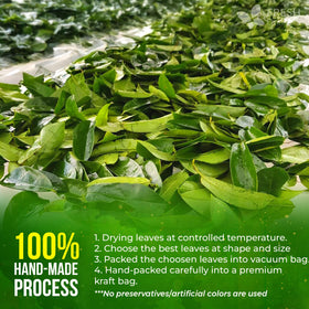 FreshDrinkUS soursop wildcrafted harvest showing natural sourcing