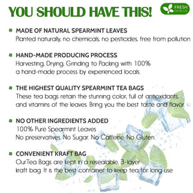 FreshDrinkUS spearmint tea bag packaging highlights eco-friendly kraft packaging.