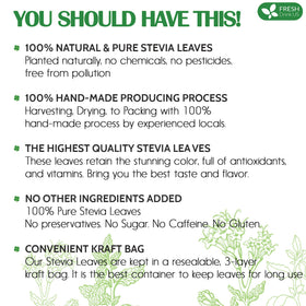 FreshDrinkUS stevia leaves closeup aroma highlighting herbal sweetness