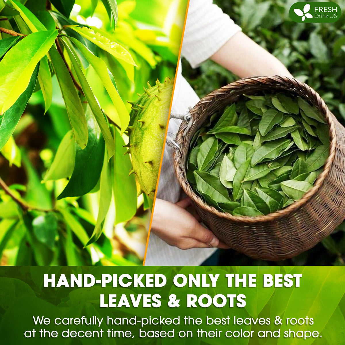 FreshDrinkUS sun-dried herbs emphasize natural processing and quality