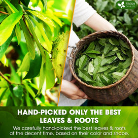 FreshDrinkUS sun-dried herbs emphasize natural processing and quality