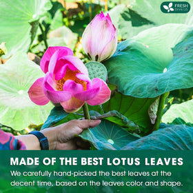 FRESHDRINKUS sun-dried lotus leaves capture natural color and aroma.
