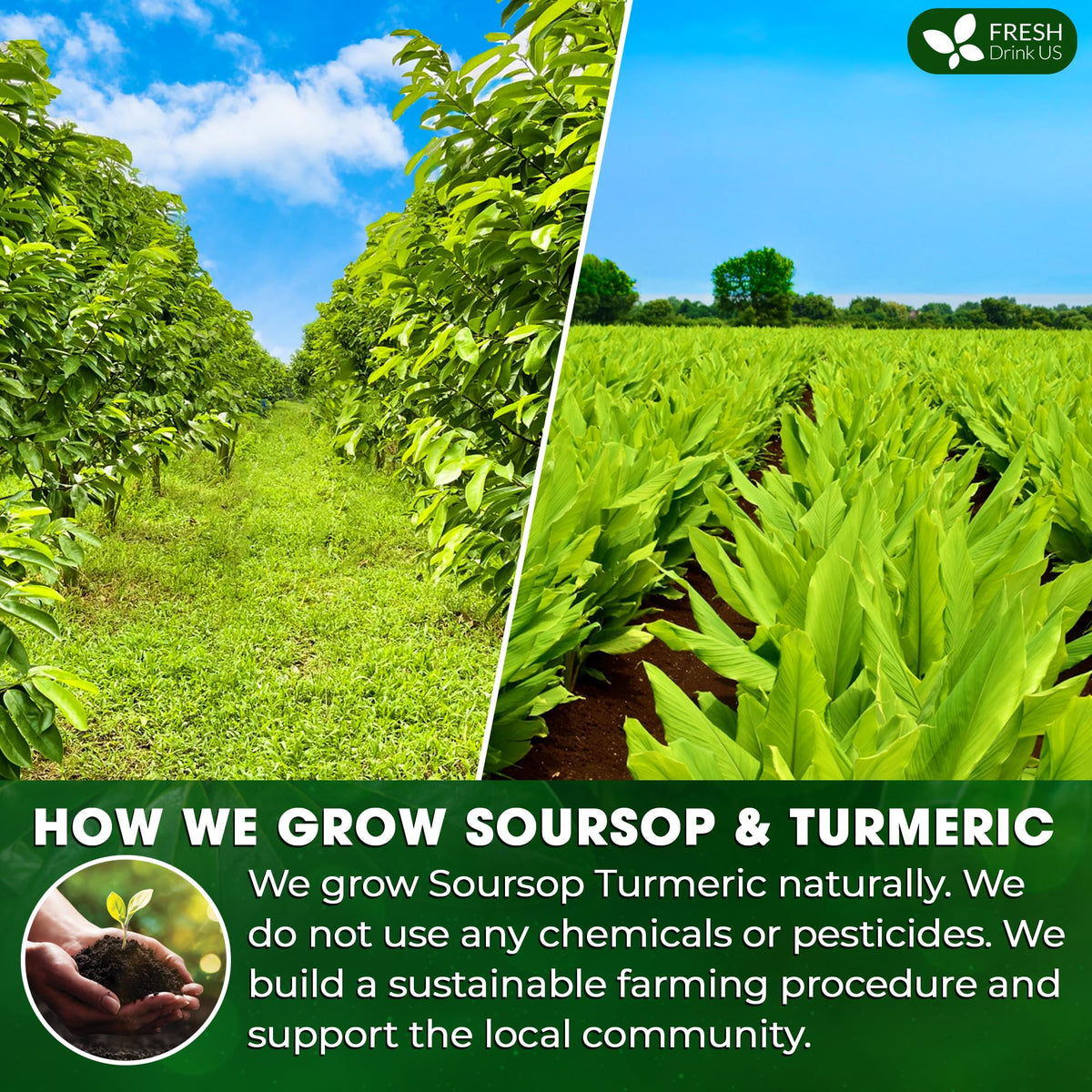 FreshDrinkUS sustainable family farms supplying 100% natural ingredients.