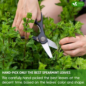 FreshDrinkUS sustainable farming field emphasizes pesticide-free cultivation.