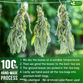 FreshDrinkUS sustainable farming supports eco-conscious tea production.