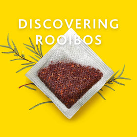 Rooibos sourced from Cedarberg in Western Cape, South Africa.