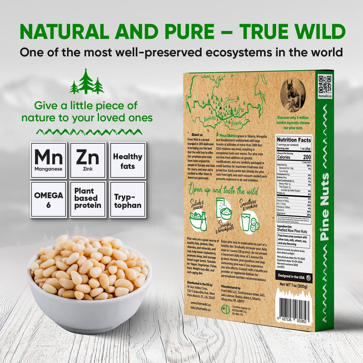 FROM WILD Pine Nuts Siberian harvest closeup emphasizes resinous aroma for gourmet dishes.
