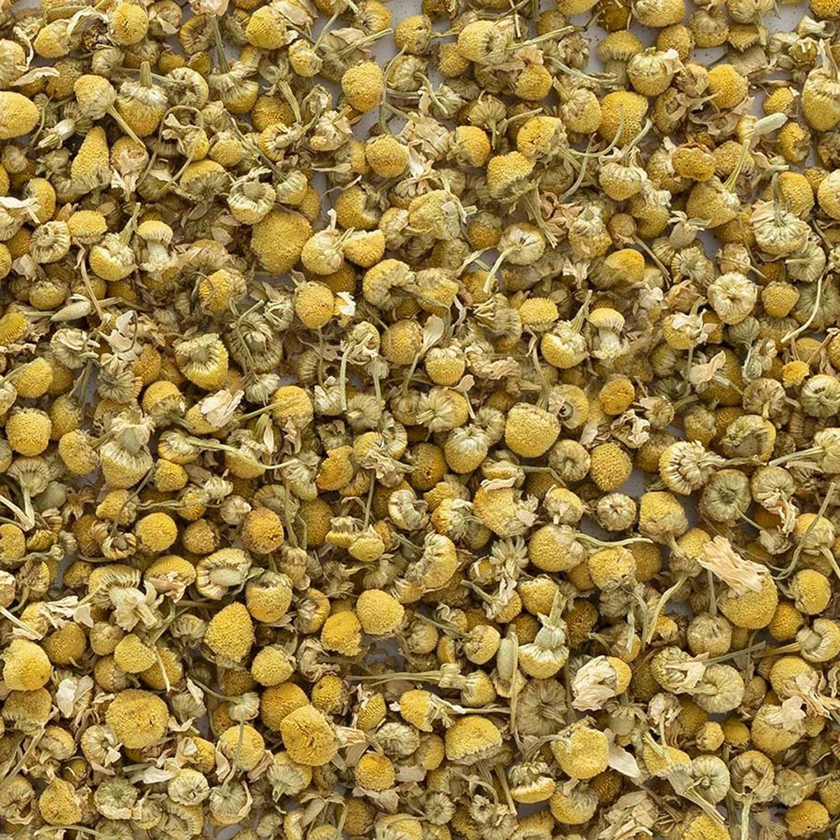 Frontier Chamomile Flowers for potpourri and fragrant DIY projects.