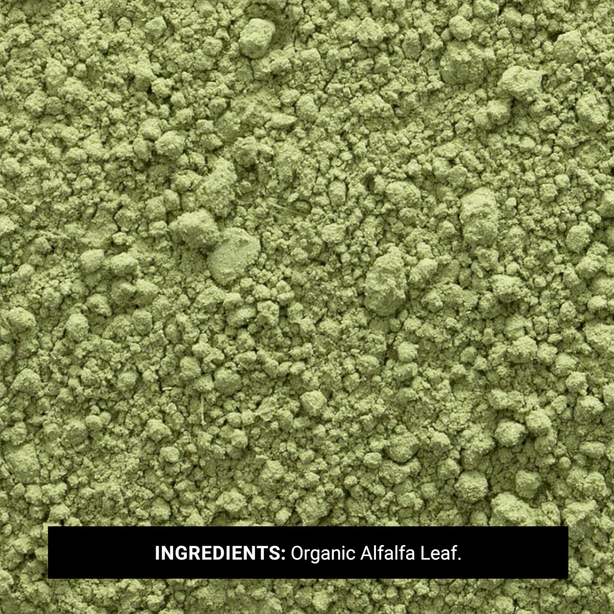 Frontier Co-op Organic Alfalfa Leaf Powder being poured into a cup for a greens boost.