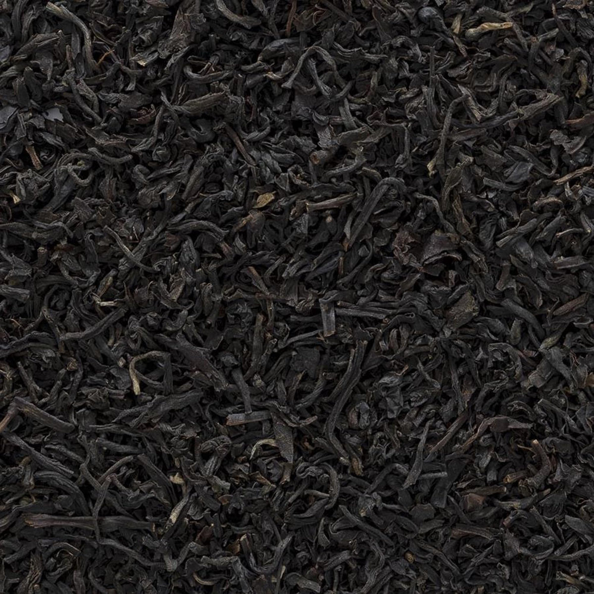 Frontier Co-op Assam tea being steeped for a brisk, malty cup.