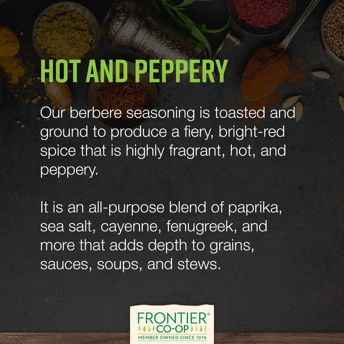 Frontier Co-op Berbere seasoning grilling rub demonstrates versatile use on meats