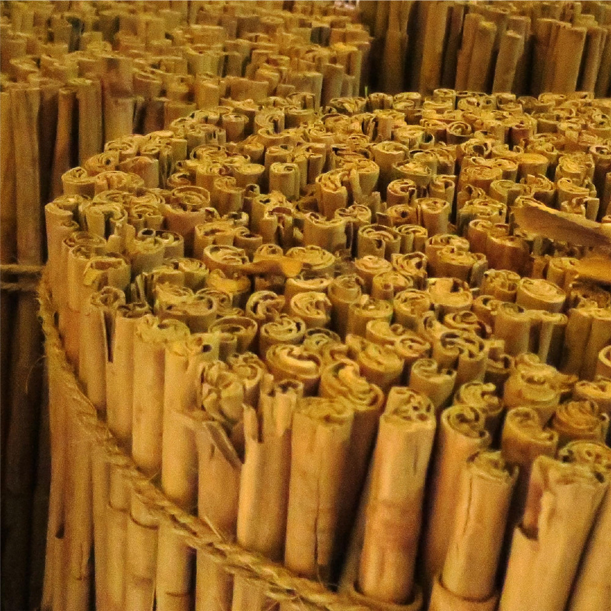Ceylon cinnamon sticks for baking and spice layering in recipes.
