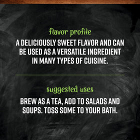 Frontier Co-op dandelion leaf-aroma image emphasizes earthy scent boosting flavor in recipes.