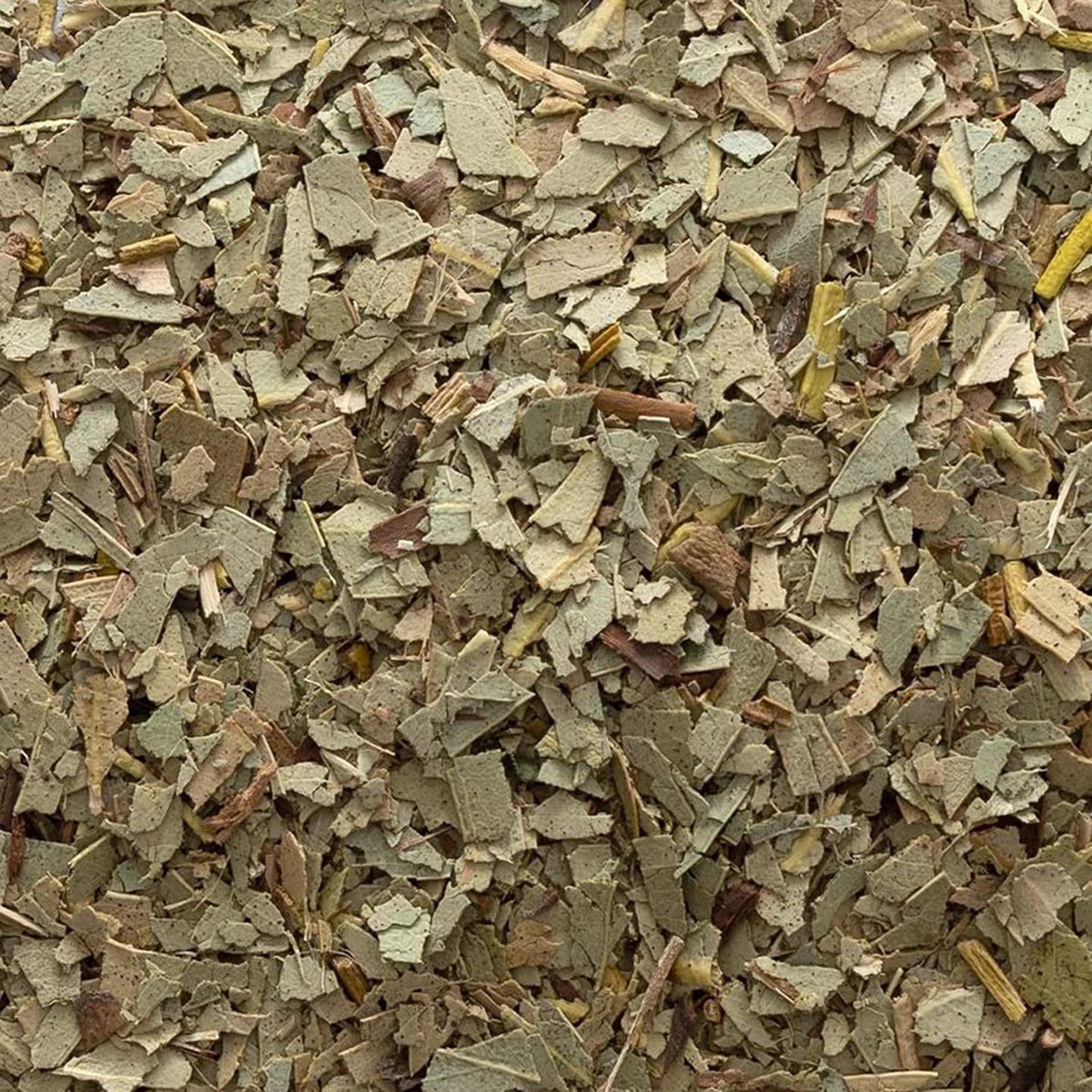 Frontier Co-op Eucalyptus Leaf aromatic closeup with menthol citrus pine notes